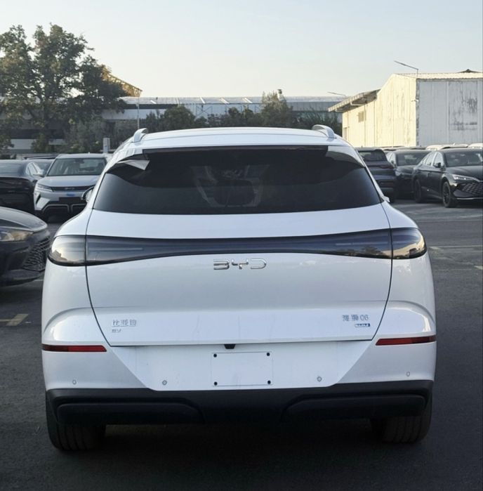 **‼️BYD Sealion 06 full Masla‼️