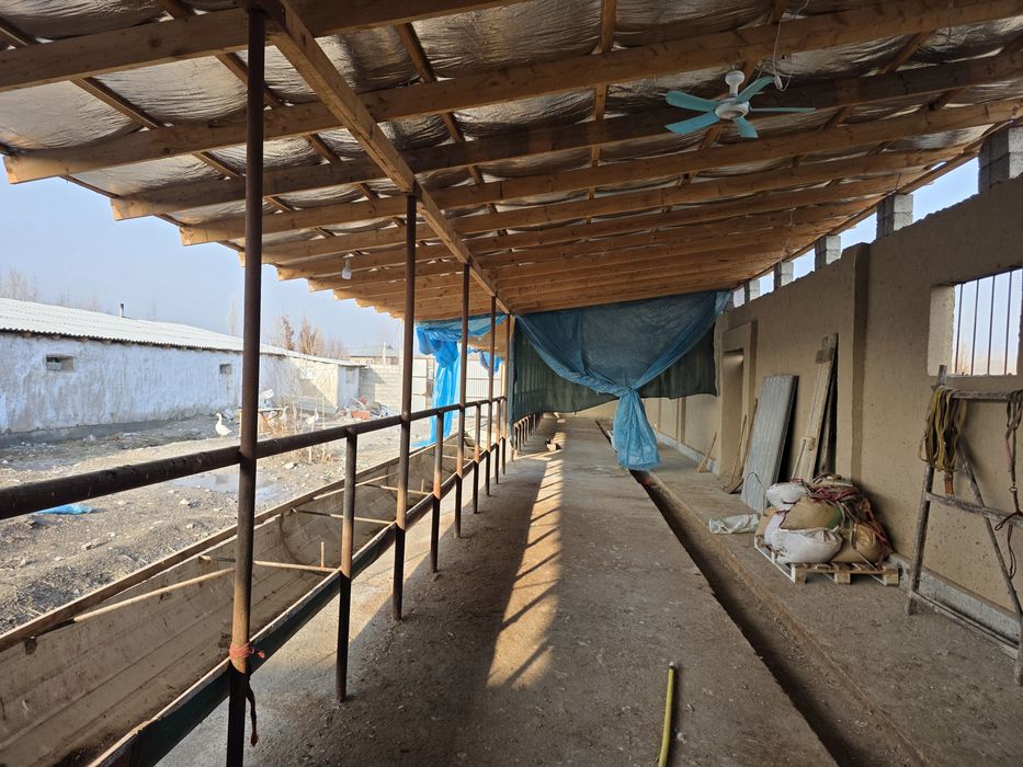 Карамол учун ферма   товук ферма  фабрика