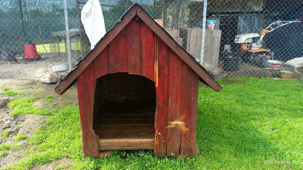 Cușcă pentru câini