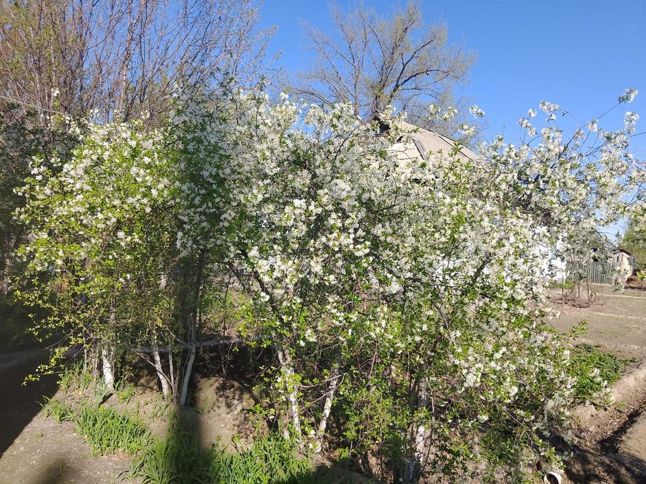 Частный дом в г. Уштобе