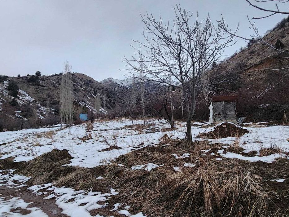 Земля в Окташе, 17 соток