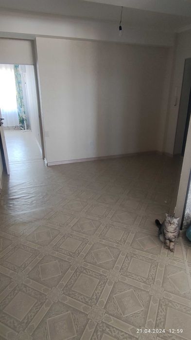 Двух комнатная квартира