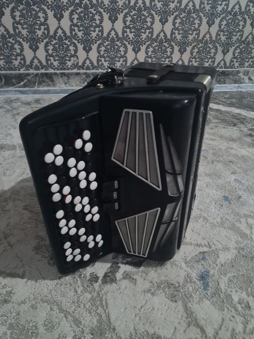 Баян Вельтмейстер