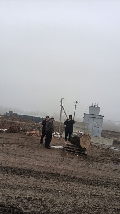 Чурка под мясо карагач