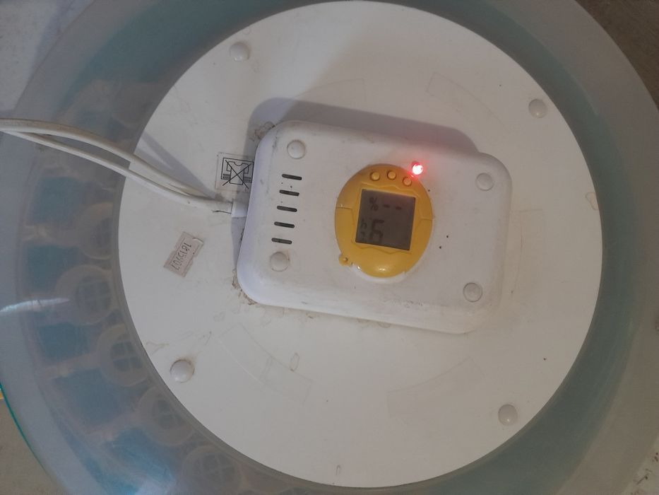 Vind incubator automat