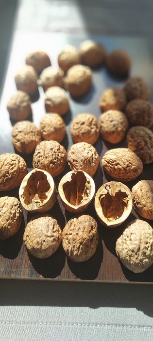 Черупка от едър орех за Handmade декорации