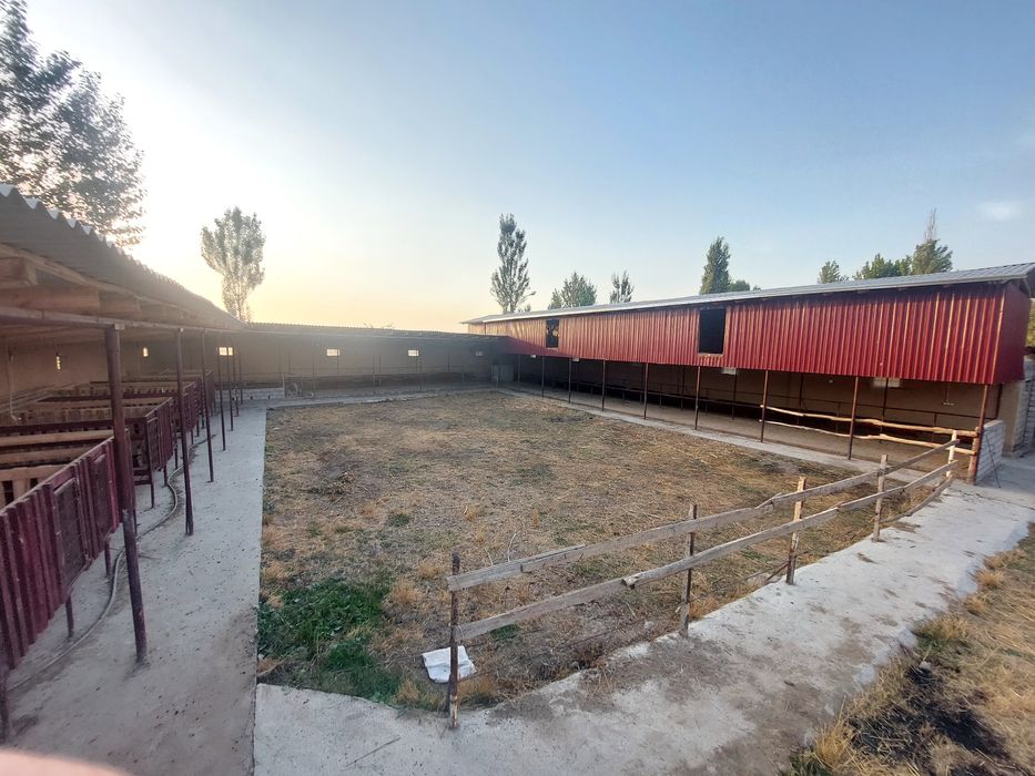 Современная ферма с готовым домом (12 соток) и ферма (18 соток) делимы