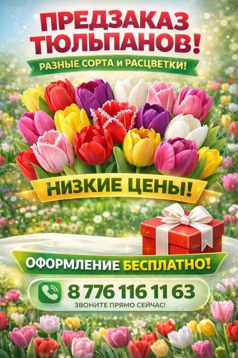 Белорусские крупные тюльпаны