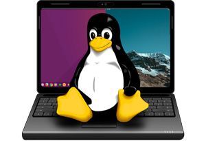 Instalări sisteme de operare Linux Mint, Ubuntu