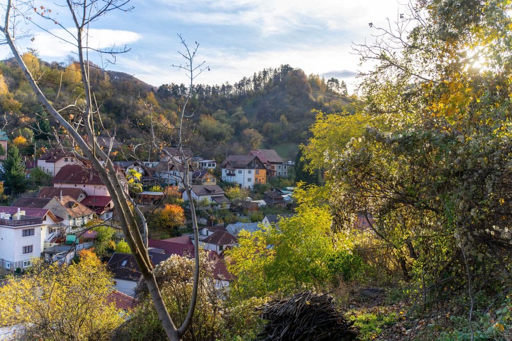 OPORTUNITATE UNICĂ Schei 620mp Vedere Spectaculoasă Tâmpa | Proprietar