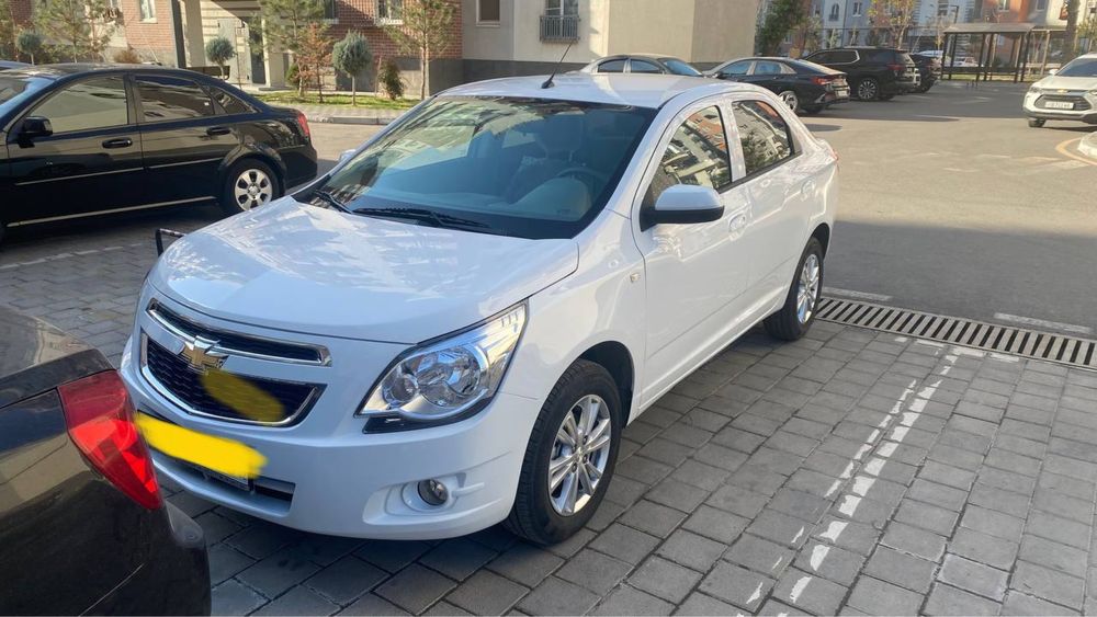 Cobalt 2024/25 G-style