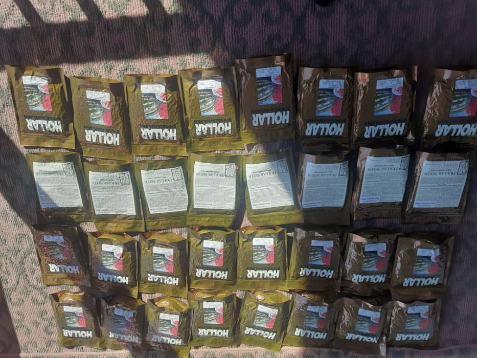 Тарвуз уруг сотилади HOLLAR