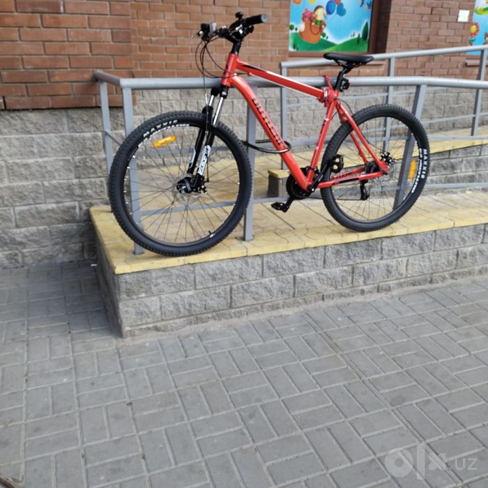 Velik 29kaliso  bardovi rang