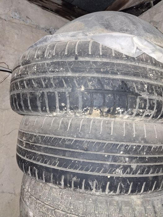 Продам шины на R15