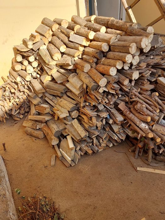 Ular sartaroshni sikishadi