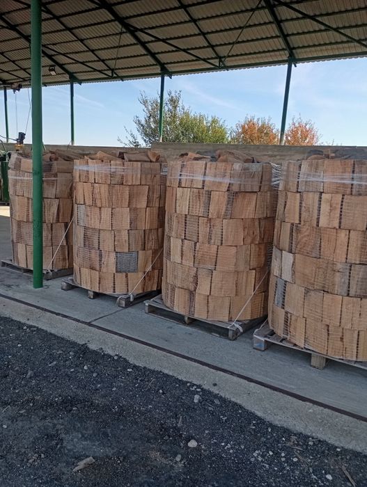 Lemn de foc FAG și CARPEN