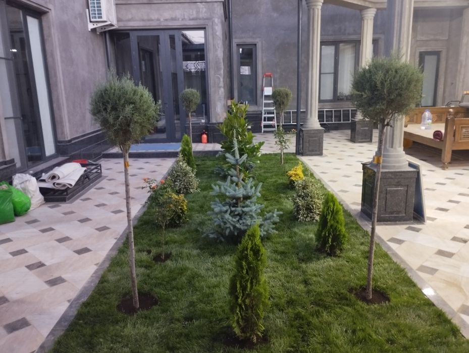 Газон     Gazon.