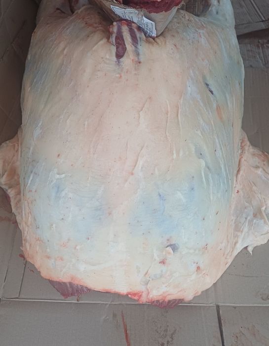 Жылқы етін сатам 2800