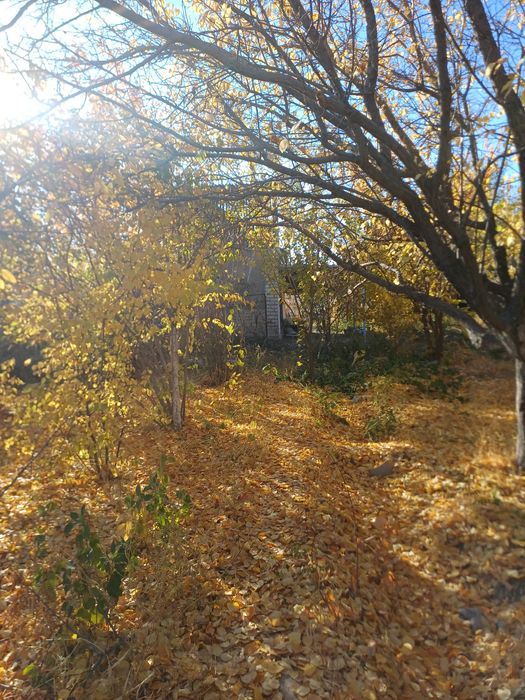 Дача 12 соток Арзан бағада.