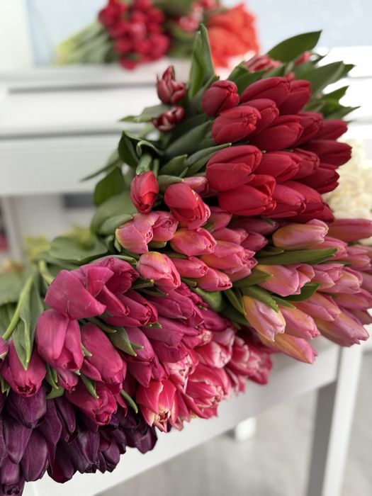 Тюльпаны продам. Красивые, качественные, в розницу