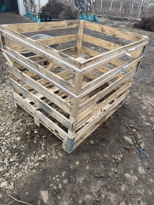 Boxpaleti lemn 100x120