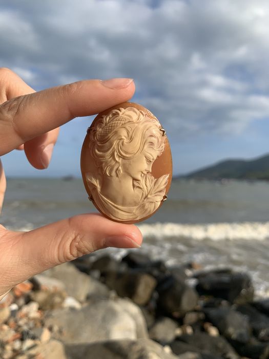 Винтажные камеи из ракушек