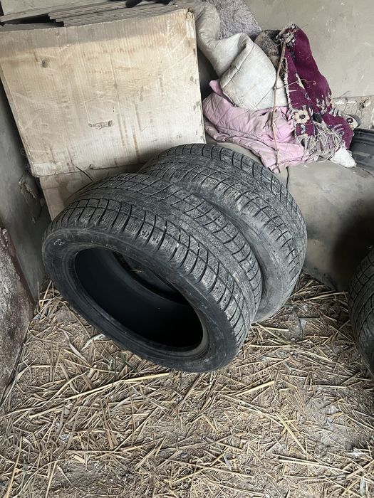 Зимние шины покрышки TRIANGLE 225/50/17