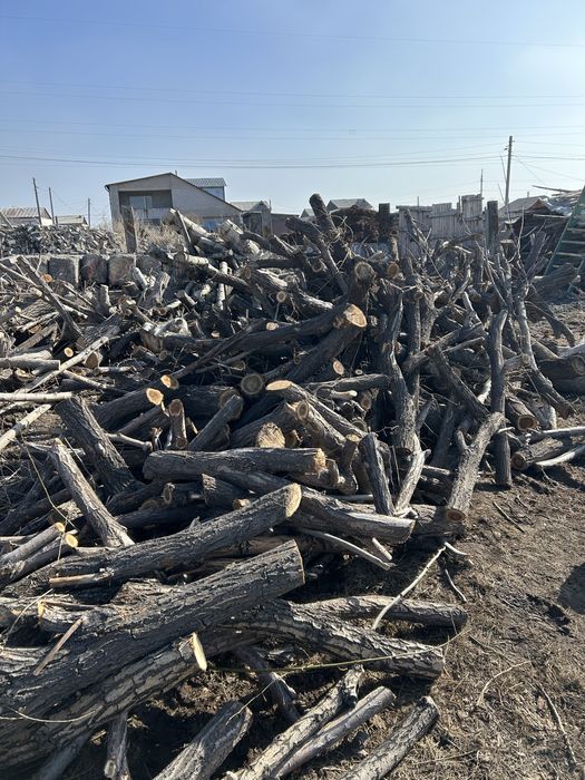 Продам дерево доставка бесплатно