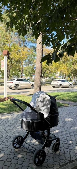 Коляска универсальная всесезонная
