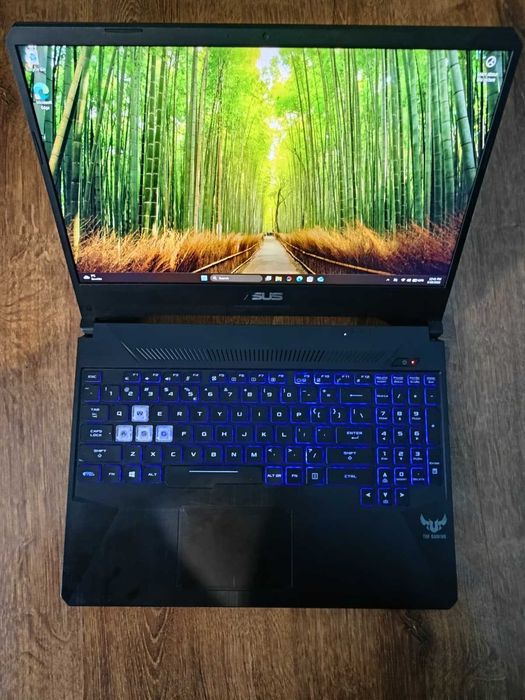Asus TUF Gaming FX505DD