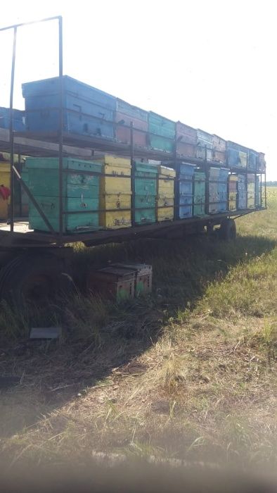 Продам прицеп, улья