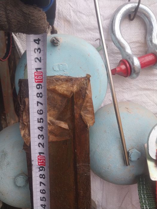 Праверичний нинейка