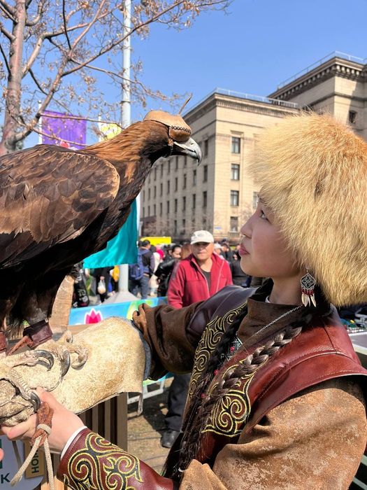 Құмай тазы ит және бүркіт. Алматы