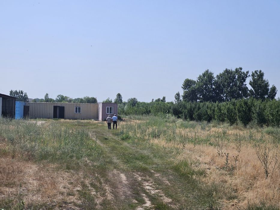 Продаётся яблоневый сад!