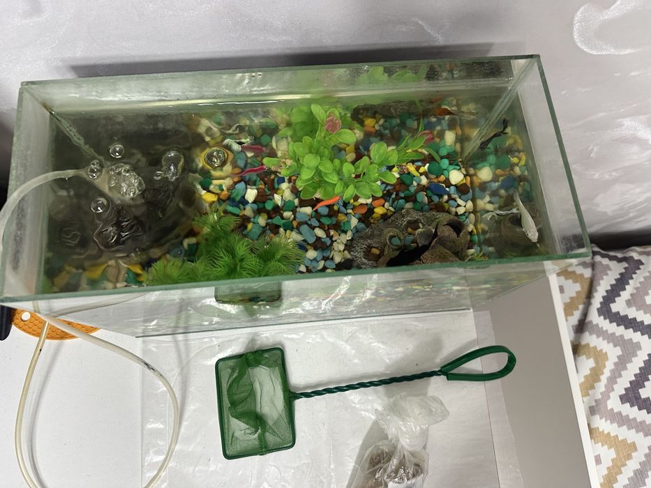 Продам аквариум с рыбками
