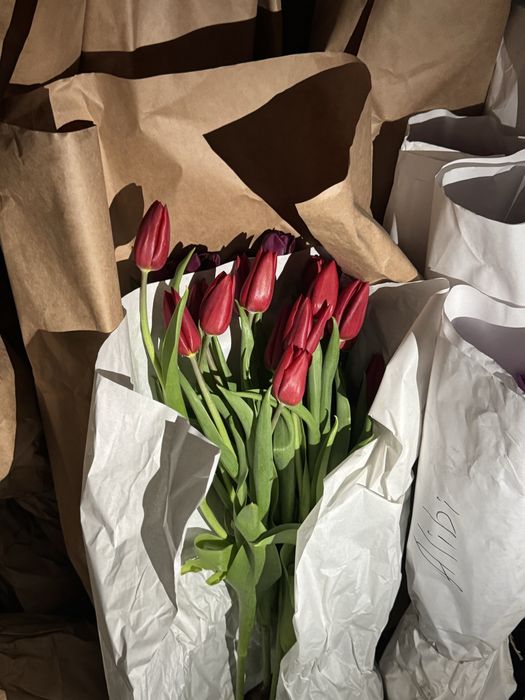 тюьпаны оптом и розницу