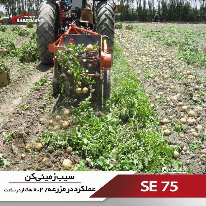 Kartoshka Kapatel 1 каторли 30-40 от кучига