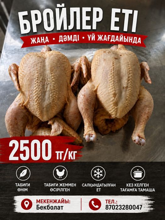 Продам куры домашних  бролеров