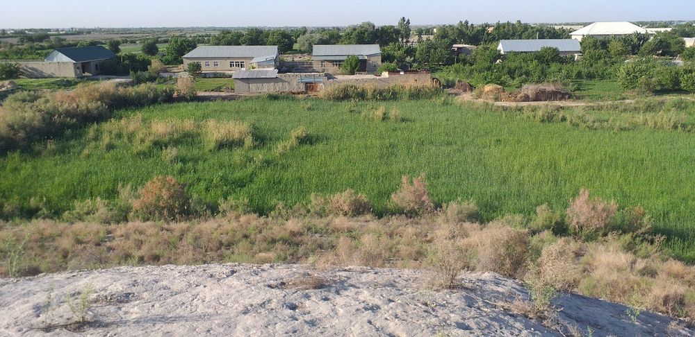 Баликхона + товукхона 4.5 гектарга  эга ер майдони сотилади