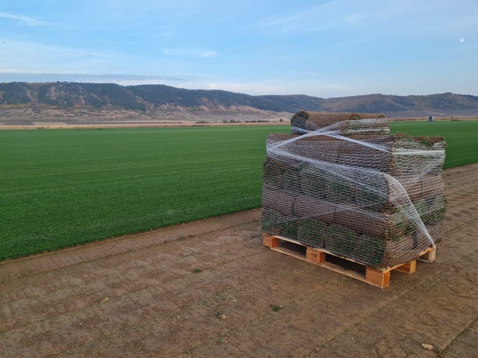 Gazon rulou și sistem de irigații