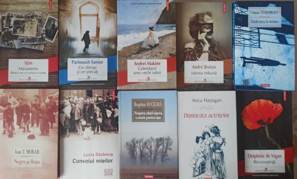 Carti de literatura clasica, literatura moderna (lichidare biblioteca)