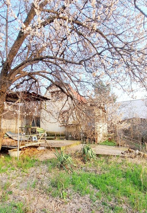 Дача Навбахор 6,7 соток Паркент Янгибазар Джумабазар от Ташкента-20км