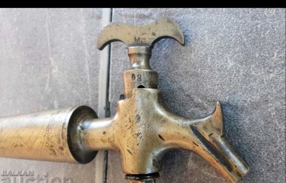 Канелка бронзова