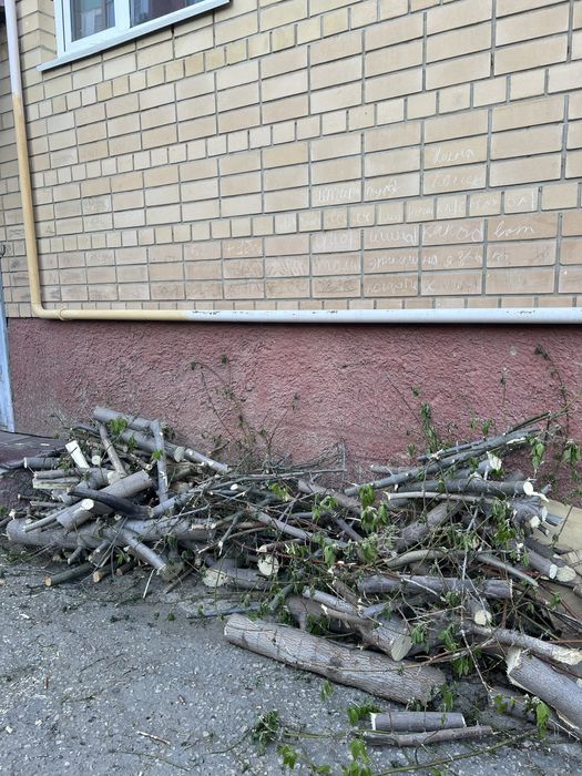 Бесплатно отдам на дрова самовывоз