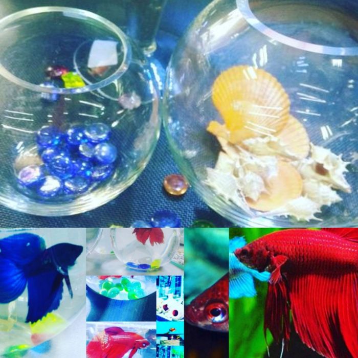 Рюмка5л .В Афалине.Навои Торайгырова