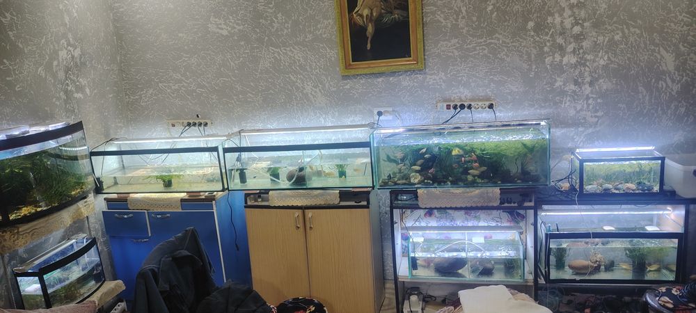 Аквариумы по Акции, арзон, дёшево