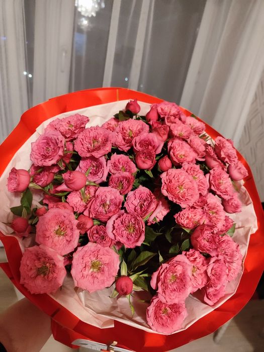 Продам цветы Розы пионовидные