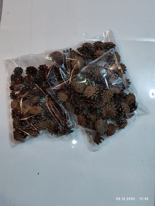 Шишки сосновые чистые