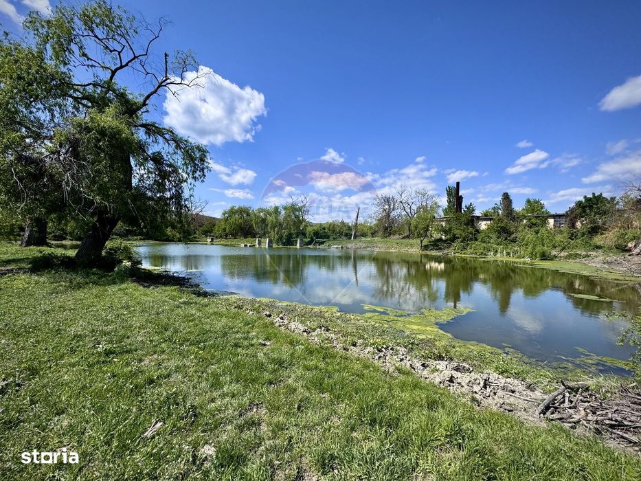 Domeniu de vânzare in Urlați Prahova
