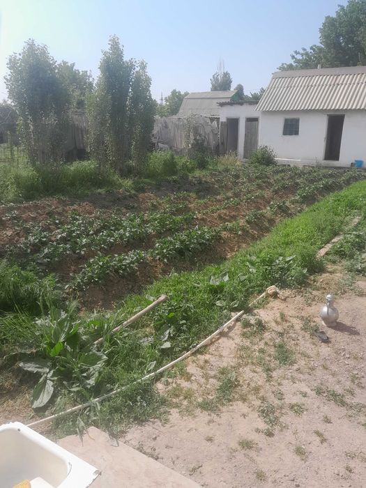 Хавли уй сотилади